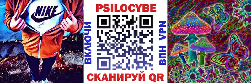 Галлюциногенные грибы Cubensis  Ленинградская 